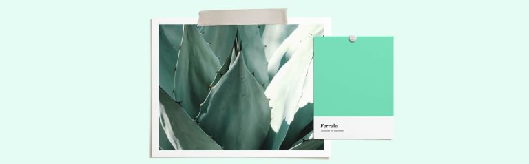 Betekenis van de kleur mint, kleurbetekenis mint